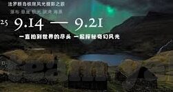 伊布参加过世界杯吗-伊布与世界杯，足球传奇的未竟之旅