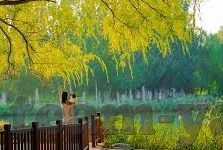 足球比分彩票奖金计算-足球比分彩票奖金计算全解析，从入门到精通的财富密码